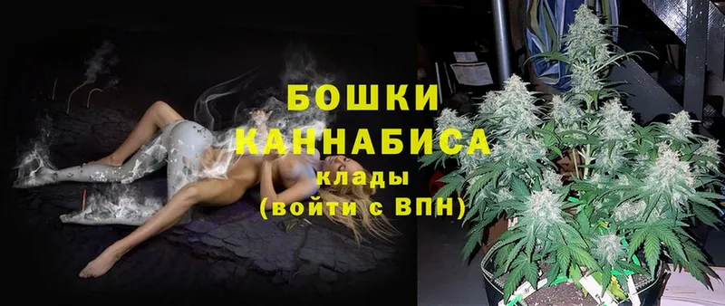 Шишки марихуана SATIVA & INDICA  закладка  Невельск 